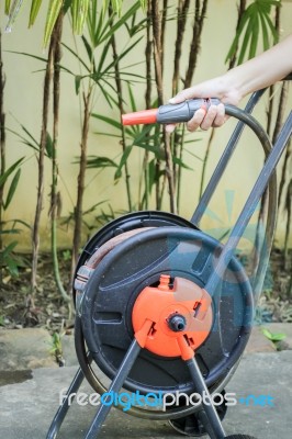 Prepare Watering Plant In The Garden Stock Photo