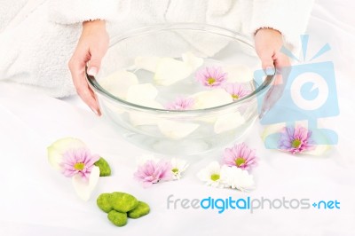 Preparing Petal Bath Stock Photo