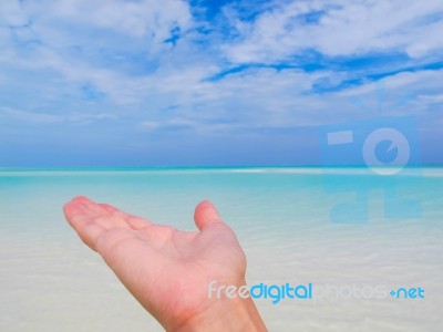 Presenting The Sea Vacation Stock Photo