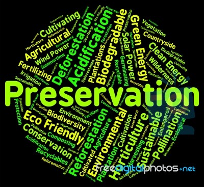 Preservation Word Represents Earth Friendly And Conserve Stock Image