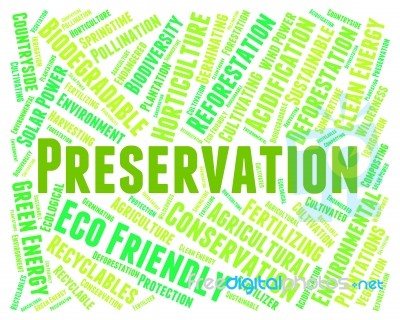 Preservation Word Represents Earth Friendly And Conserving Stock Image