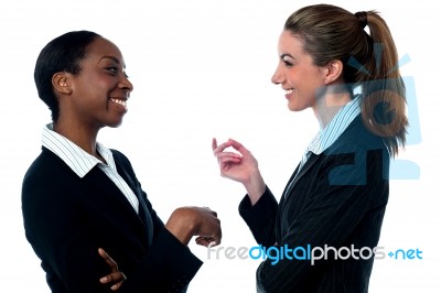 Pretty Businesswomen Discussing Stock Photo