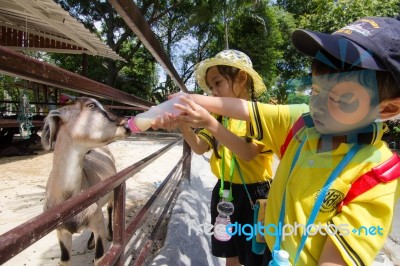 Primary Students Visit The Zoo, In The Jul 27, 2016. Bangkok Thailand Stock Photo