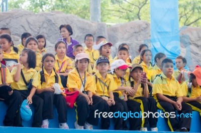 Primary Students Visit The Zoo, In The Jul 27, 2016. Bangkok Thailand Stock Photo