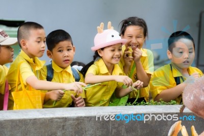 Primary Students Visit The Zoo, In The Jul 27, 2016. Bangkok Thailand Stock Photo