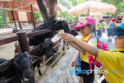 Primary Students Visit The Zoo, In The Jul 27, 2016. Bangkok Thailand Stock Photo