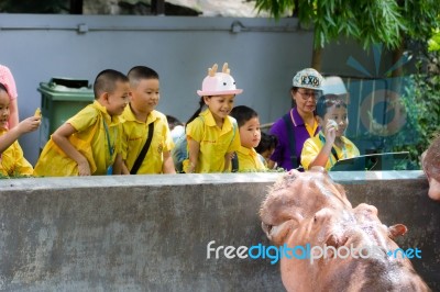 Primary Students Visit The Zoo, In The Jul 27, 2016. Bangkok Thailand Stock Photo