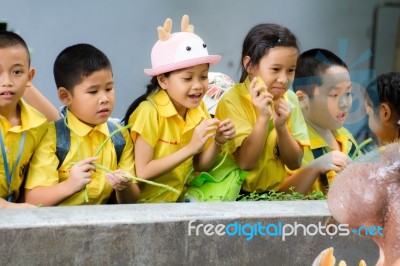 Primary Students Visit The Zoo, In The Jul 27, 2016. Bangkok Thailand Stock Photo