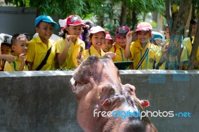 Primary Students Visit The Zoo, In The Jul 27, 2016. Bangkok Thailand Stock Photo