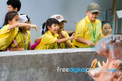 Primary Students Visit The Zoo, In The Jul 27, 2016. Bangkok Thailand Stock Photo