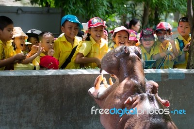 Primary Students Visit The Zoo, In The Jul 27, 2016. Bangkok Thailand Stock Photo