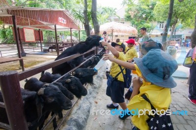 Primary Students Visit The Zoo, In The Jul 27, 2016. Bangkok Thailand Stock Photo