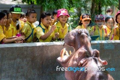 Primary Students Visit The Zoo, In The Jul 27, 2016. Bangkok Thailand Stock Photo