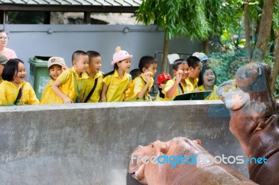 Primary Students Visit The Zoo, In The Jul 27, 2016. Bangkok Thailand Stock Photo