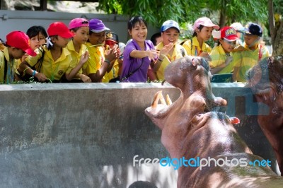 Primary Students Visit The Zoo, In The Jul 27, 2016. Bangkok Thailand Stock Photo