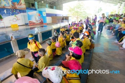 Primary Students Visit The Zoo, In The Jul 27, 2016. Bangkok Thailand Stock Photo