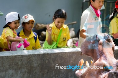 Primary Students Visit The Zoo, In The Jul 27, 2016. Bangkok Thailand Stock Photo