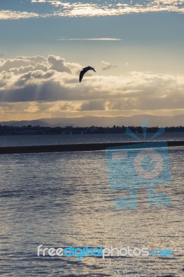 Pristine Beach At Wellington Point, Brisbane Stock Photo