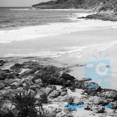 Pristine Beachfront At North Point, Moreton Island. Black And White Stock Photo