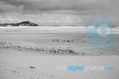 Pristine Beachfront At North Point, Moreton Island. Black And White Stock Photo