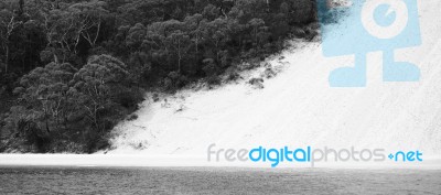 Pristine Beachfront At North Point, Moreton Island. Black And White Stock Photo