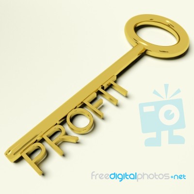 Profit Key Stock Image