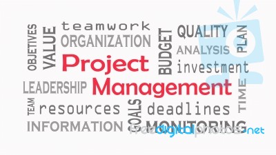 Project Management Word Cloud Concept On White Background Stock Image