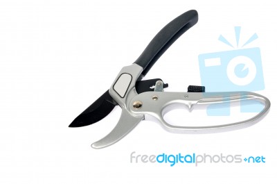 Pruning Shears Stock Photo