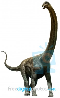 Puertasaurus Stock Image