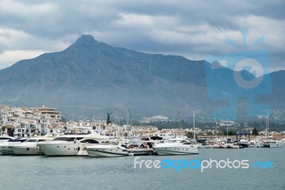 Puerto Banus Andalucia/spain - July 6 : View Of The Harbour In P… Stock Photo