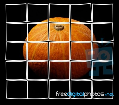 Pumpkin Stock Photo