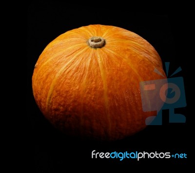 Pumpkin Stock Photo