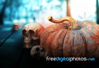 Pumpkin And Skull On Wooden Stock Photo