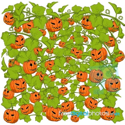 Pumpkin Background Stock Image