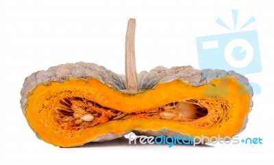 Pumpkin Isolated On The White Background Stock Photo