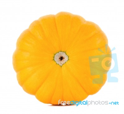 Pumpkin Isolated On The White Background Stock Photo