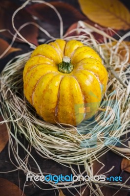 Pumpkin On The Hay Stock Photo