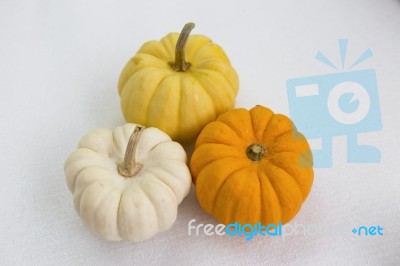 Pumpkin On White Background Stock Photo