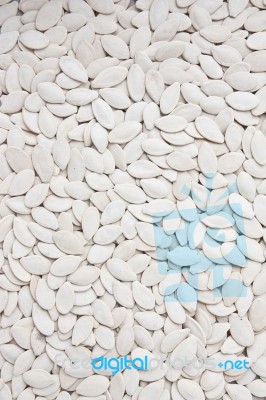 Pumpkin Seeds Stock Photo