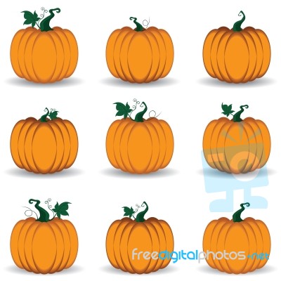 Pumpkin Set Isolated On White Background Stock Image