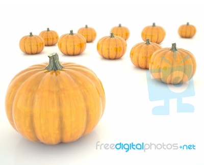 Pumpkins Stock Image