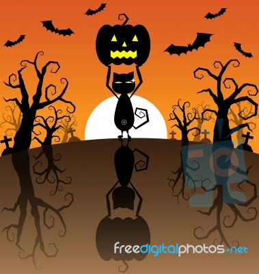 Pumpkins And Black Cat On The Sunset Background Stock Image