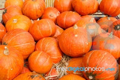 Pumpkins For Sale Stock Photo