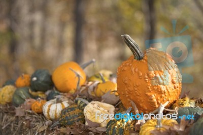 Pumpkins On Hay Stock Photo