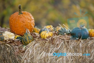 Pumpkins On Hay Stock Photo