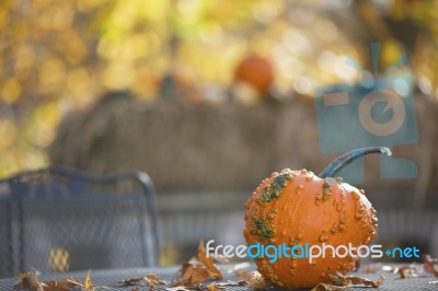 Pumpkins On Table Stock Photo