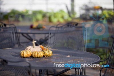 Pumpkins On Table Stock Photo