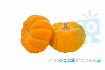 Pumpkins On White Background Stock Photo