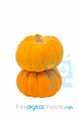 Pumpkins On White Background Stock Photo