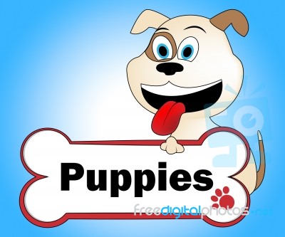 Puppies Dog Means Pedigree Canines And Puppy Stock Image